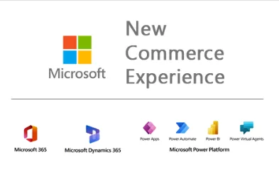 Office 365 E3 Plan (No Teams)