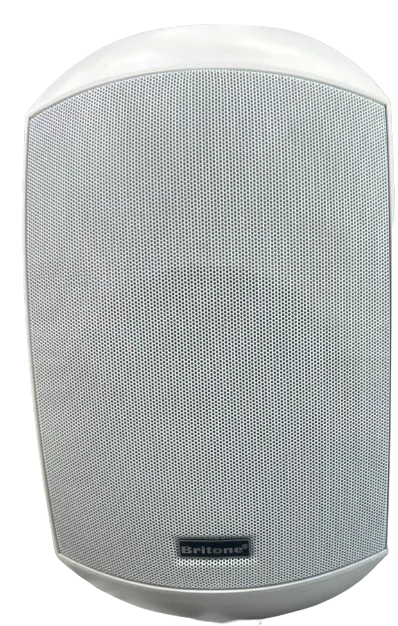 Britone Indoor/Outdoor Wall Mount Speaker 40W