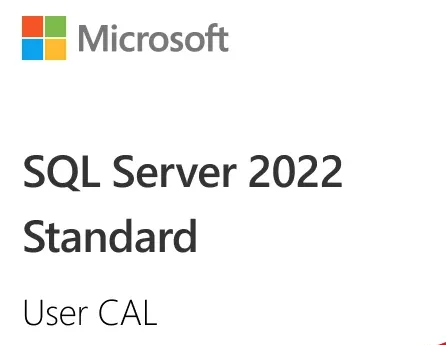 Microsoft SQL Server 2022 - 1 User CAL