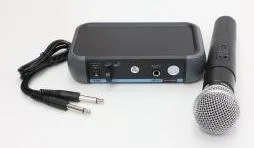 Mic Prosound Wireless