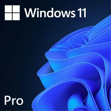 Microsoft Windows 11 Professional 64Bit Eng Intl 1pk DSP